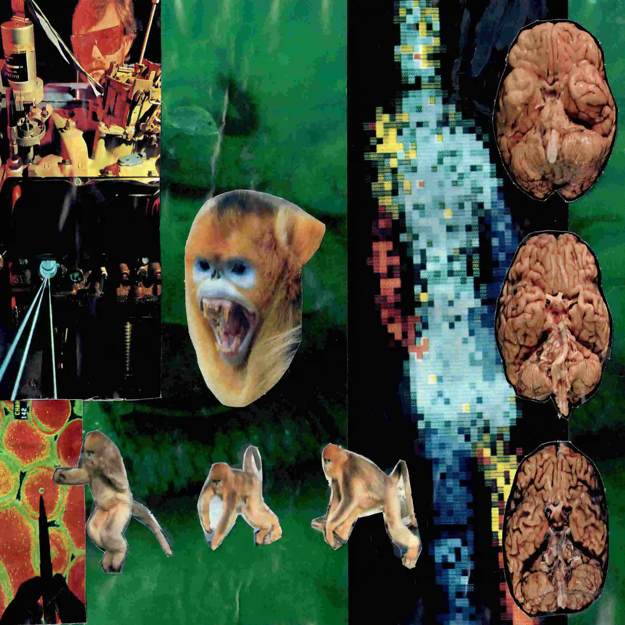little hog || brain bog by Moon Owls Mages album cover